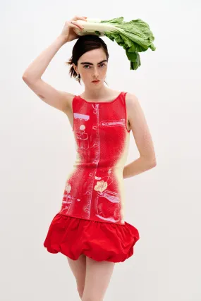 Mood Booster Picture Perfect DAPHNE REVERSIBLE TANK DRESS