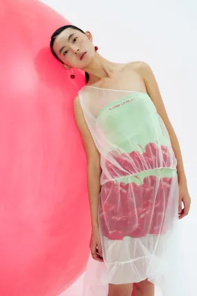 CHLOE BAG-OF-CHERRY TOP Softened Edges