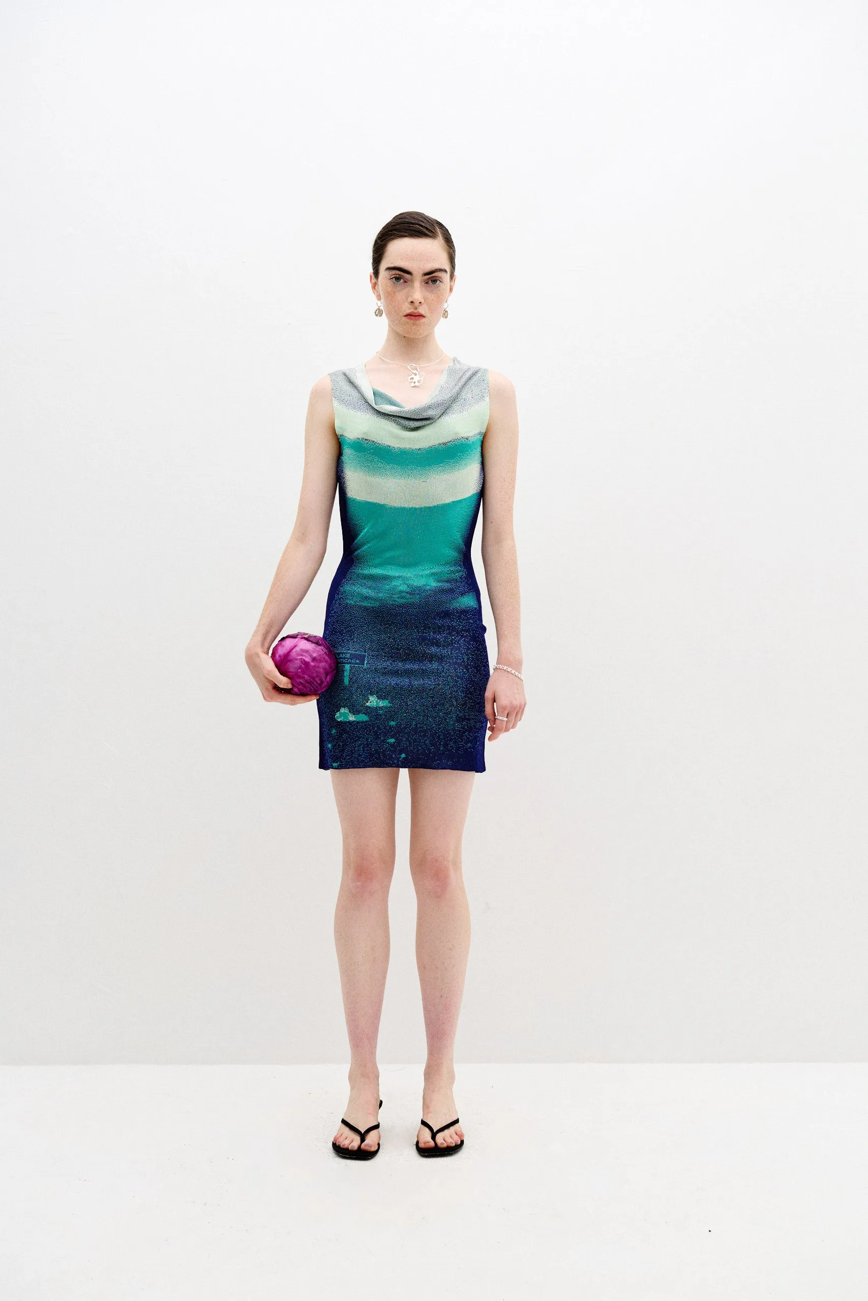 SALVIA LAKE PRINT MINI DRESS Summer Wardrobe