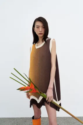 Modern Staple DAISY GRADIENT PRINT A-LINE DRESS WITH FRINGE