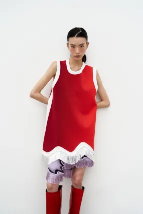 DAISY GRADIENT PRINT A-LINE DRESS WITH FRINGE Chic Direction